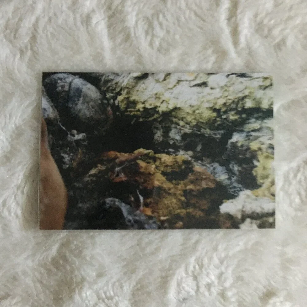 Set of 4 Original Canadian Winter Photographs Icy River Mossy Bark Nature Art - Picture 3 of 7